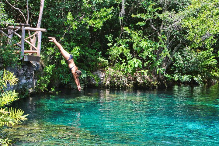 There is an ecological reserve within the Punta Cana Resort & Club