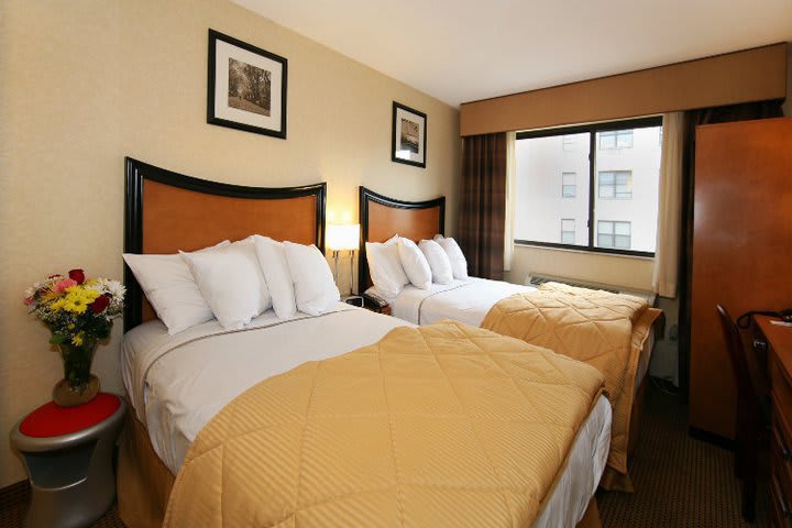 Hay habitaciones dobles en Comfort Inn Lower East Side, hotel en Nueva York