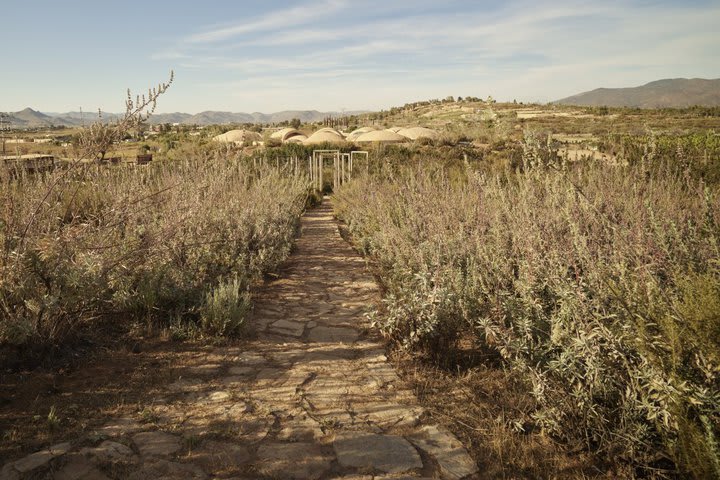 Jardín botánico