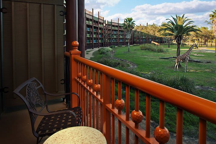 Balcony overlooking the animals