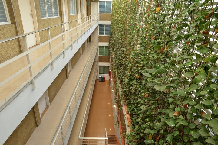 Hotel Hotel Thama Palmira