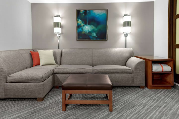 Img - Accessible King Bedrollin Shower (With Sofa Bed)