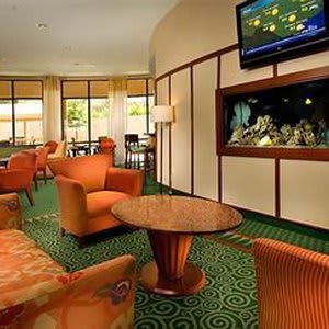 Courtyard by Marriott San Antonio SeaWorld/Lackland