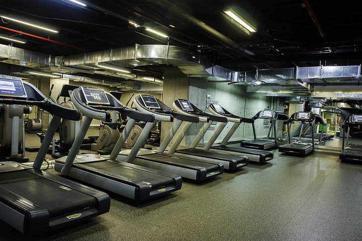 Caminadoras en el gimnasio