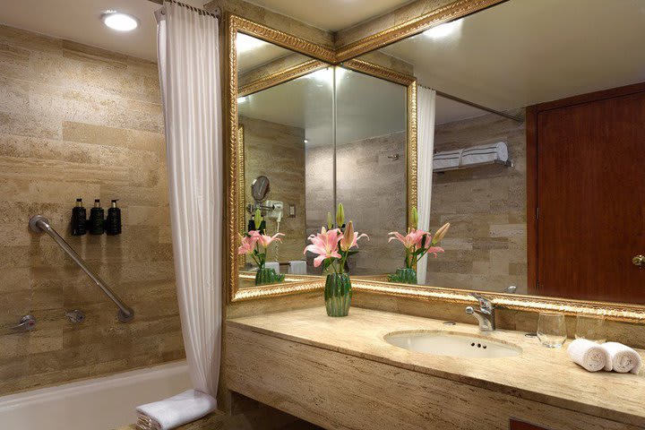 Private guest bathroom