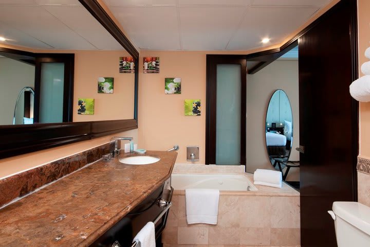 Private guest bathroom