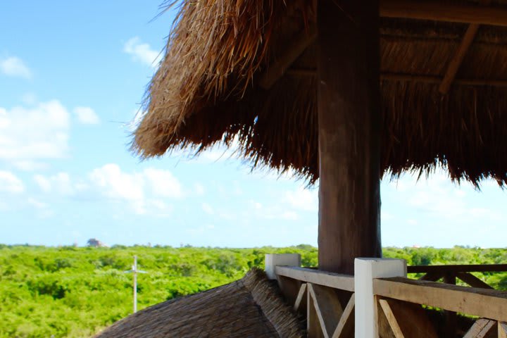 Vista desde la terraza