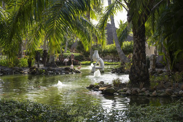 Flamingos en el resort