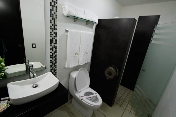 Baño privado con ducha de una suite