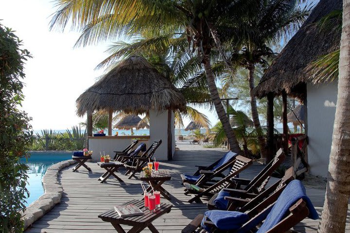 Sun loungers next to the pool