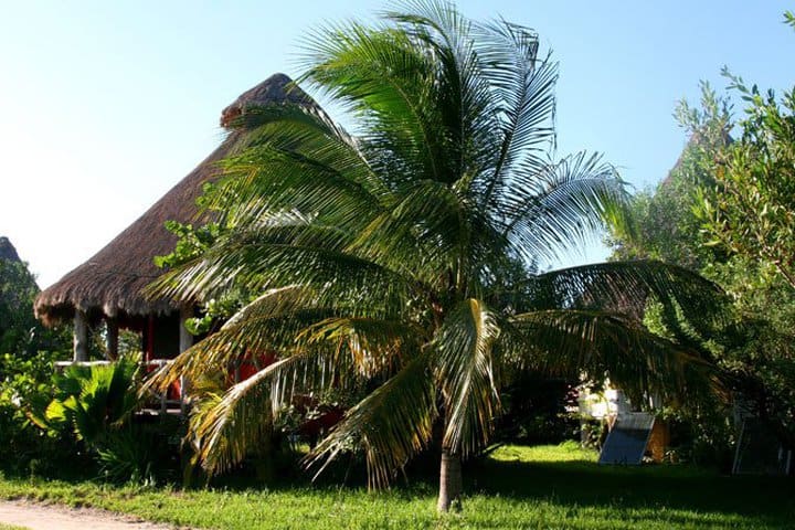 Villas Delfines, hotel frente al mar en Isla Holbox