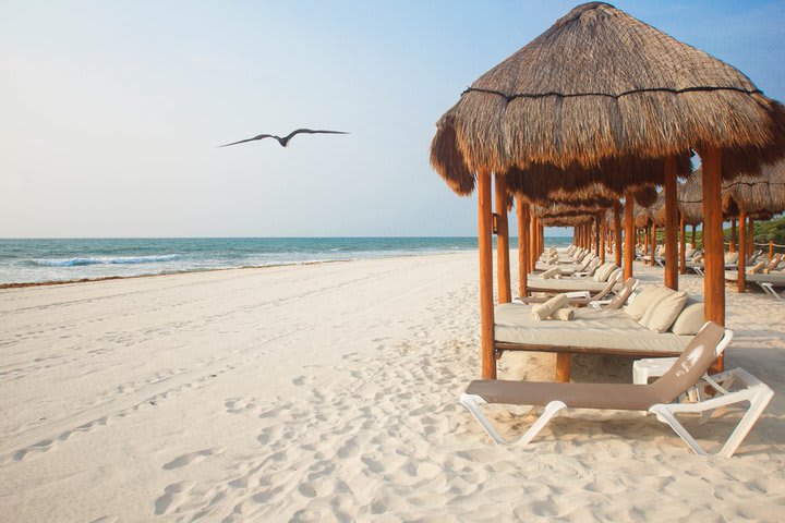 Área de descanso privada con camas plegables en la playa