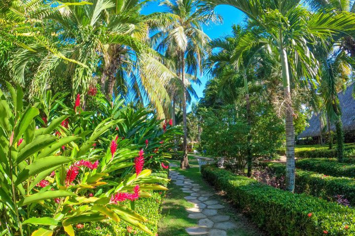 Jardín del hotel