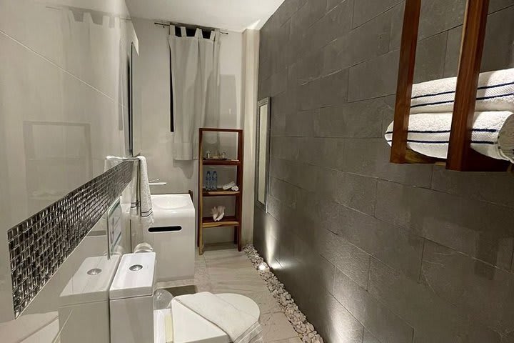 Baño privado con ducha de una habitación lujosa