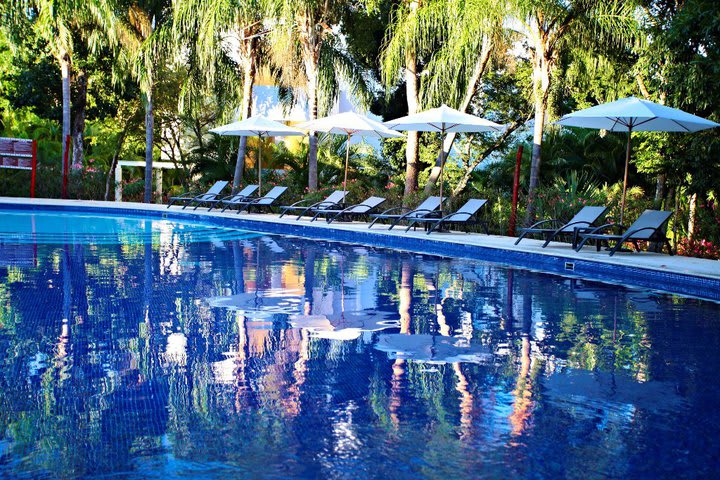 Camastros en la piscina