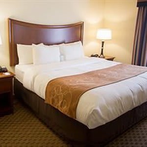 Comfort Suites San Antonio North - Stone Oak