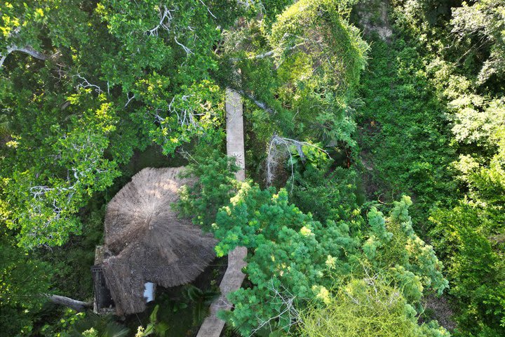 Hotel in the midst of the jungle