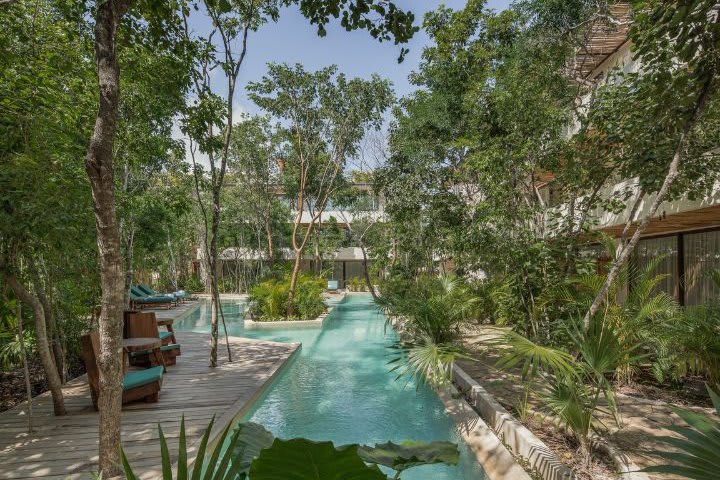 Hotel surrounded by vegetation