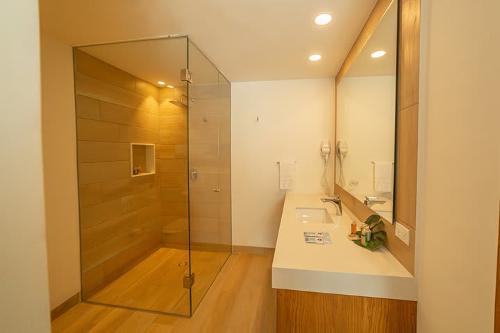 Private guest bathroom