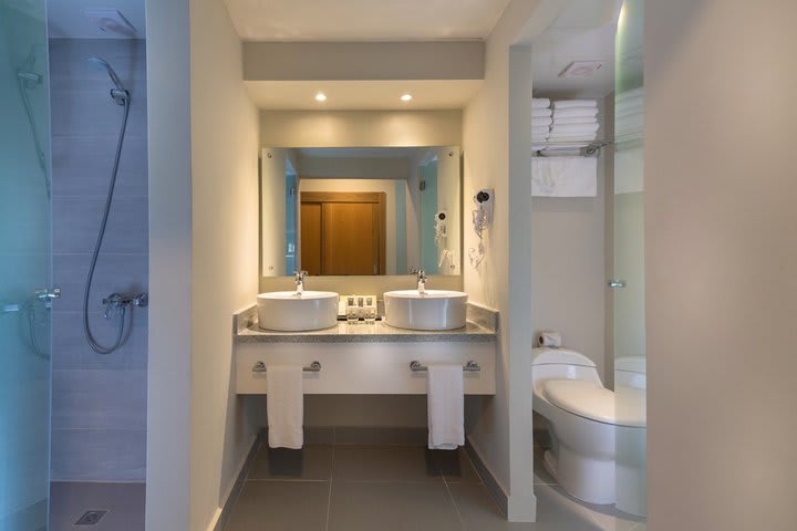 Deluxe guest bathroom