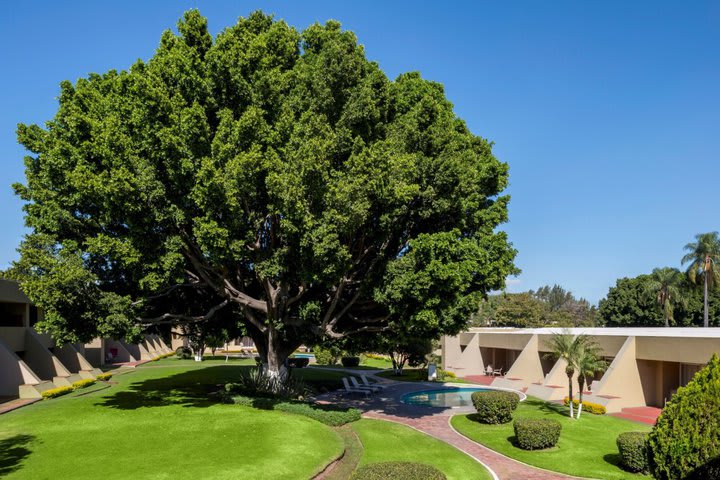 View of the gardens