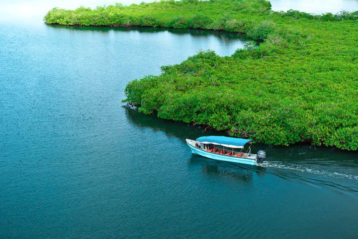 Rides throughout the archipelago