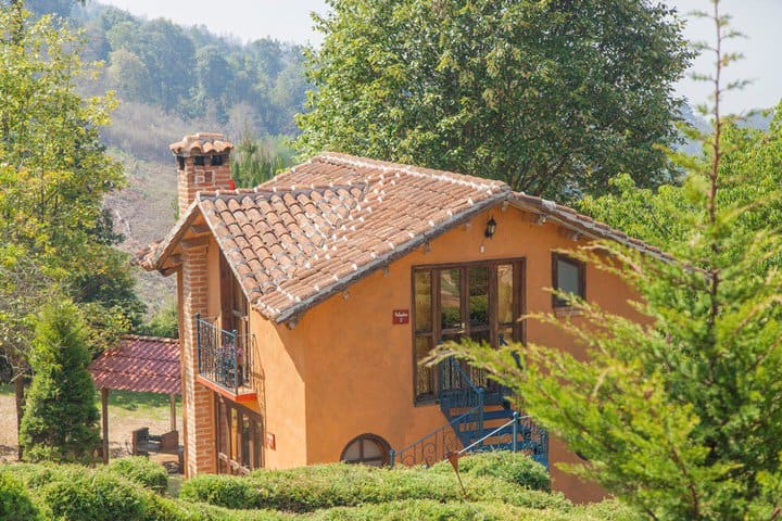 Cabañas y Suites Sergia Torres