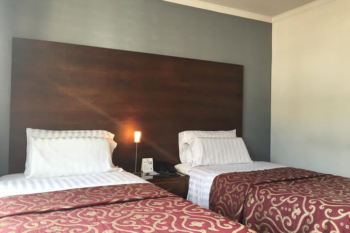 Executive Twin Room