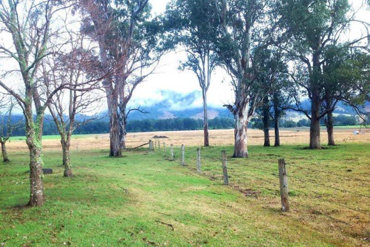 Tiquetes Baratos - Viaja fácil, sin pretextos