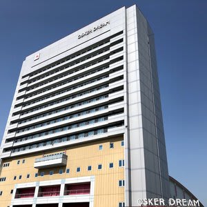 Osaka Joytel Hotel