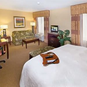 Hampton Inn & Suites San Antonio-Airport