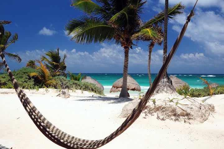 Hammock on the beach