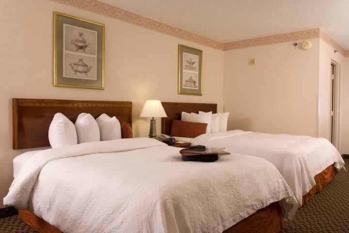 Hampton Inn Orlando - International Airport