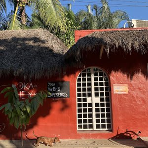 Okahey Sayulita Nayarit