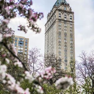 The Pierre, A Taj Hotel, New York