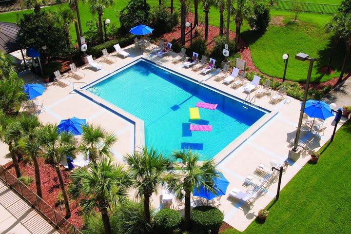 La piscina está rodeada de áreas verdes