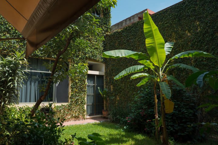 Jardín del hotel