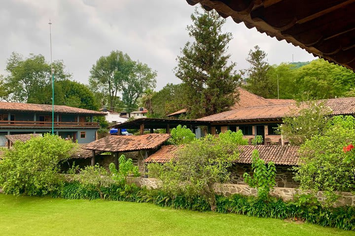 Hotel surrounded by green areas