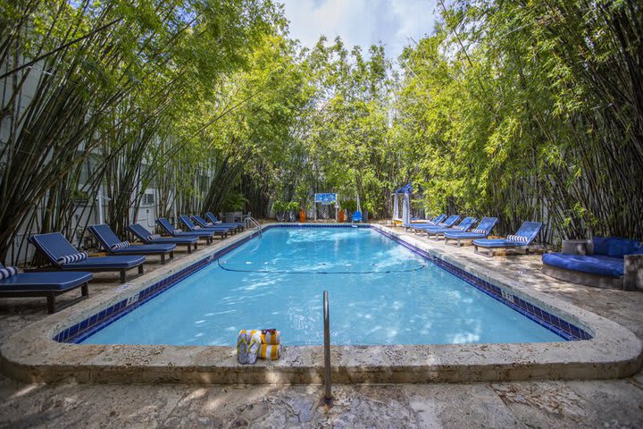 Bamboo pool surrounded by vegetation