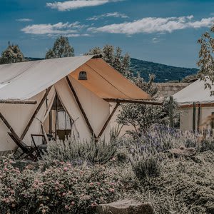 Salterra Glamping