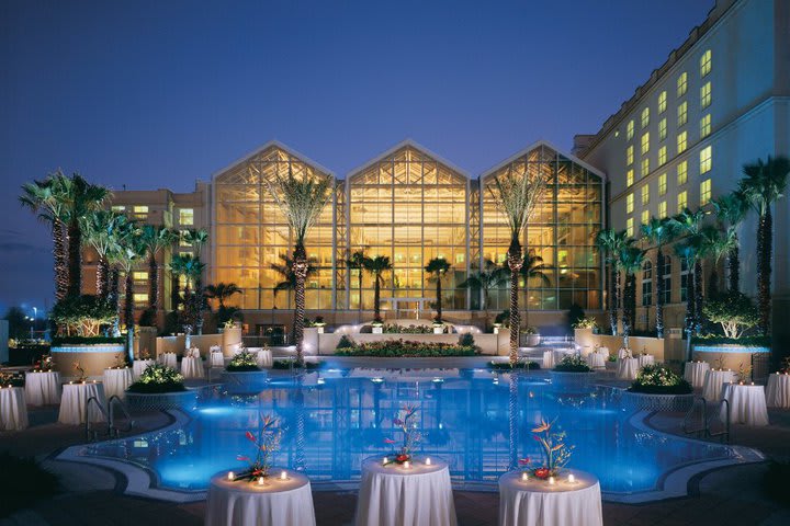 Pool at Gaylord Palms in Orlando