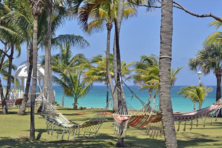 Hammock garden