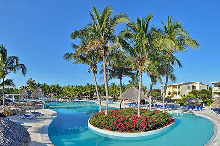 Piscina con vegetación tropical