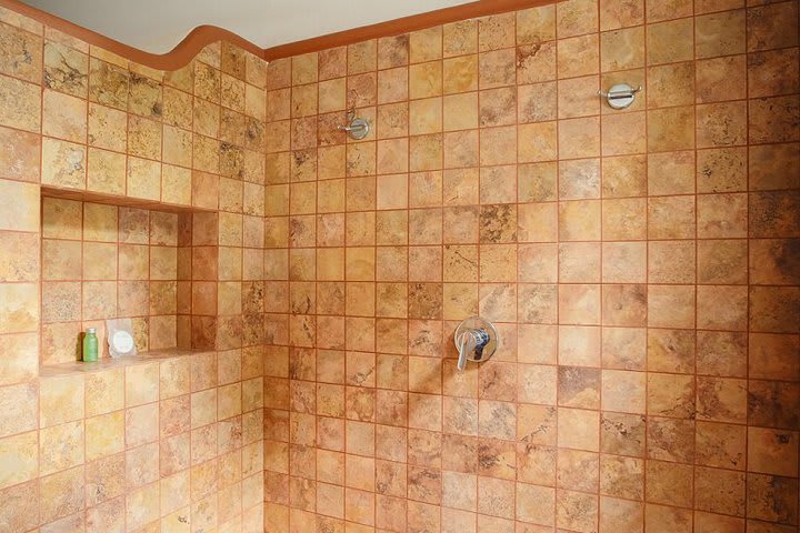 Bathroom of the master suite