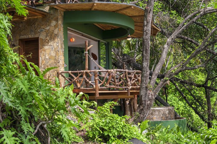 Suites surrounded by vegetation