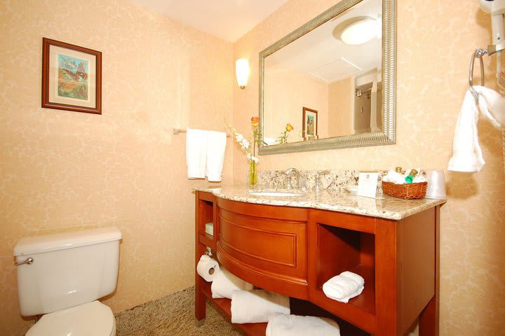 Baño de una habitación del Best Western Plus Seaport Inn Downtown en Nueva York