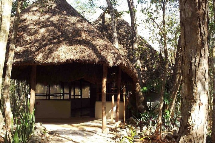 Palapa paya yoga