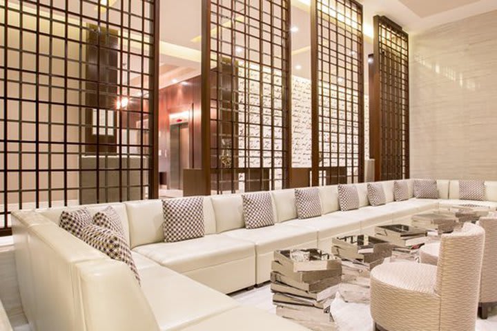 Sillón de estilo contemporáneo en el lobby