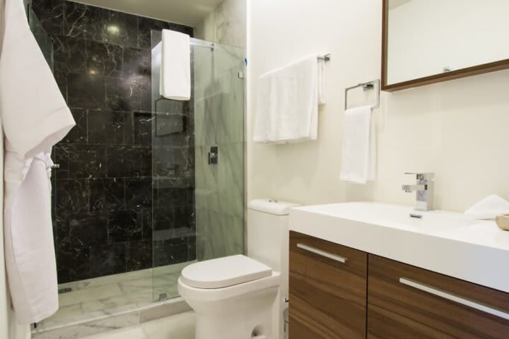 Baño en una master suite