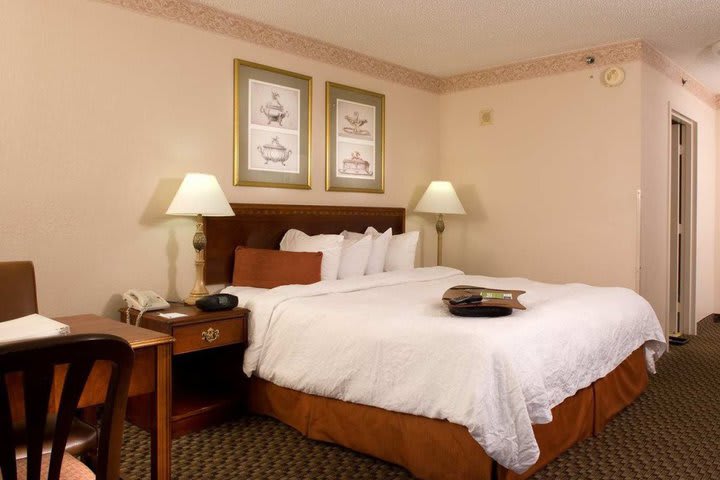 Hampton Inn Orlando - International Airport